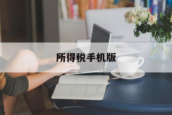 所得税手机版(企业所得税手机app)